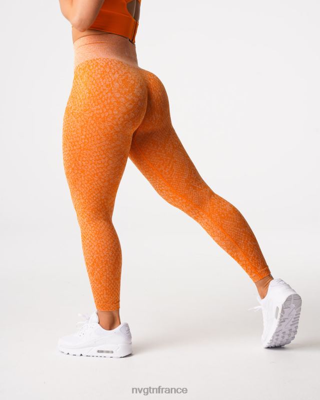 femmes XJRR2684 orange brûlée aptitude NVGTN leggings sans couture en peau de serpent